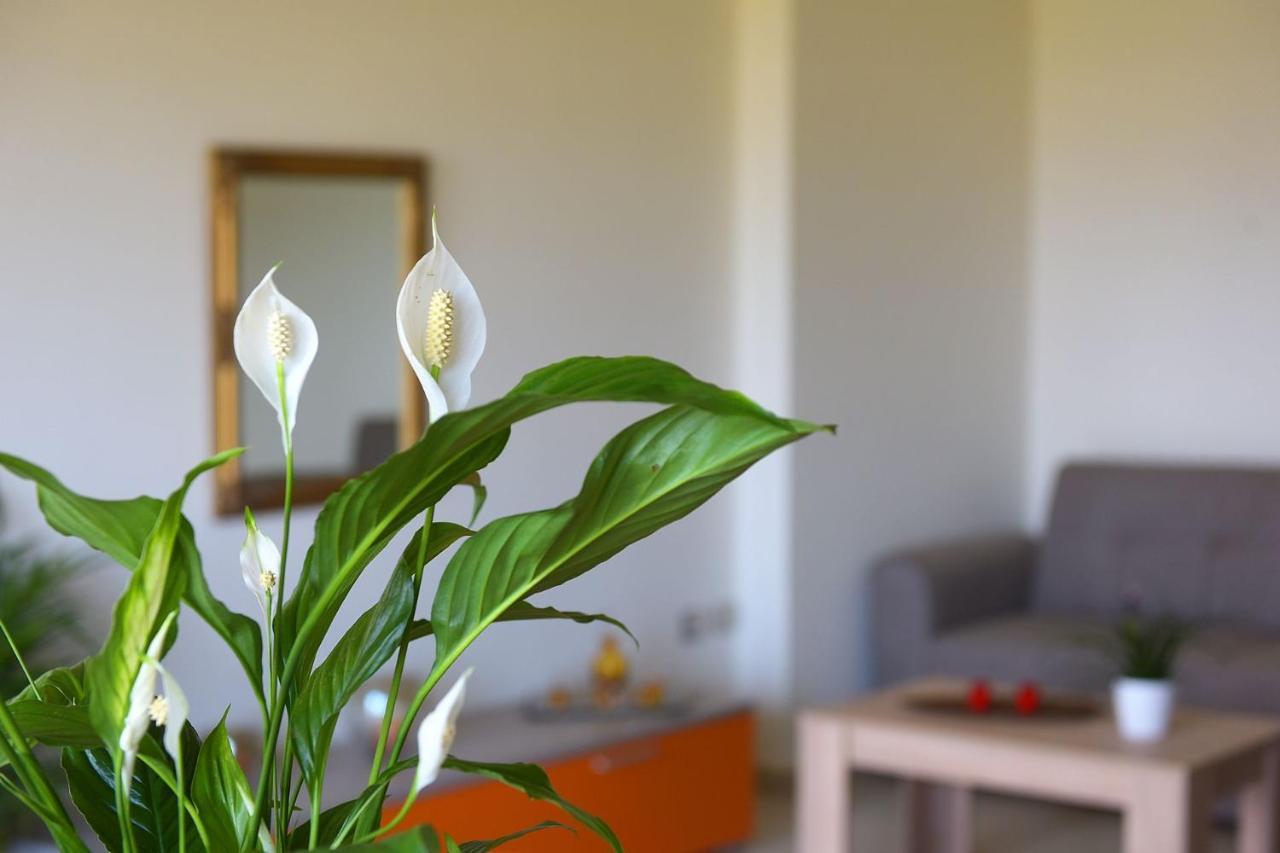 Stelia Luxury Apartments Kalavárda Eksteriør billede