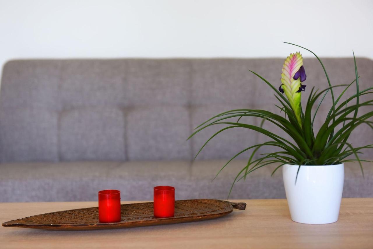 Stelia Luxury Apartments Kalavárda Eksteriør billede